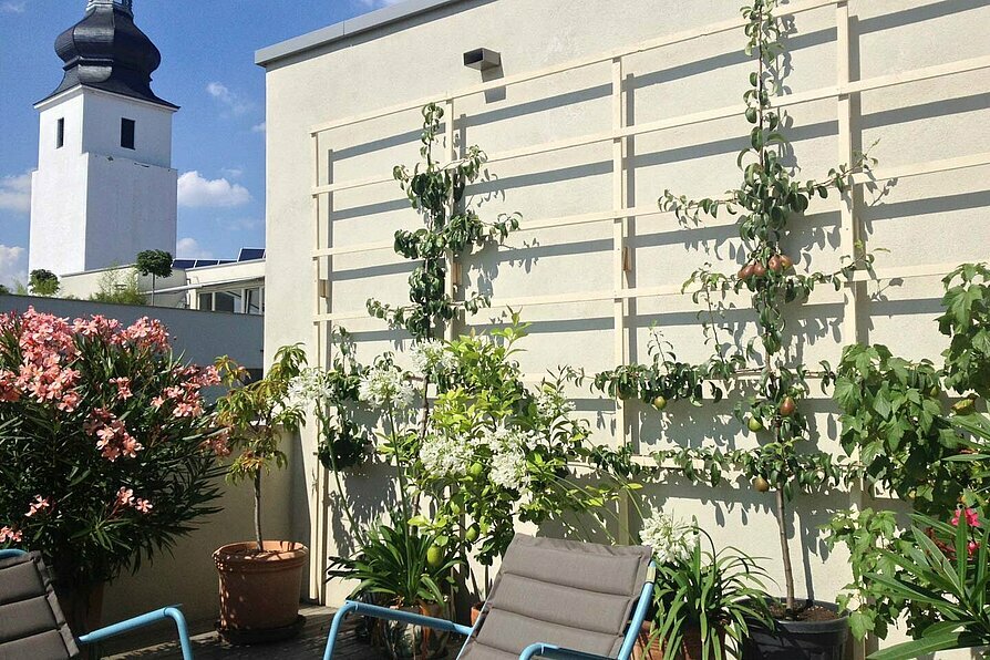 Wohnungsbau Sülzer Freunde